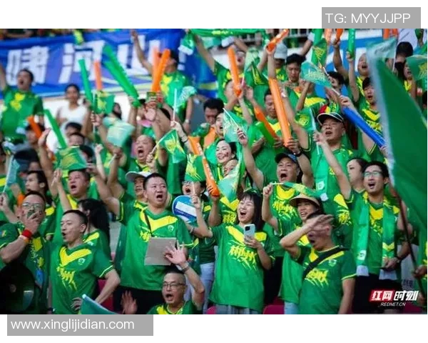 足球巨星亲临现场观战引爆全场球迷热情氛围瞬间达到高潮